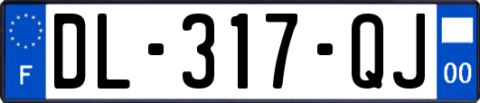 DL-317-QJ