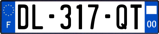 DL-317-QT