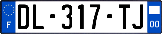 DL-317-TJ
