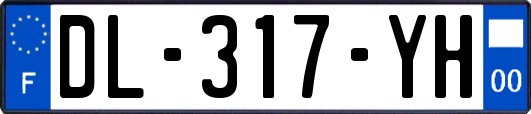 DL-317-YH