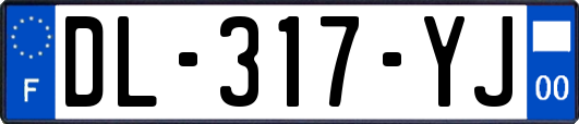 DL-317-YJ