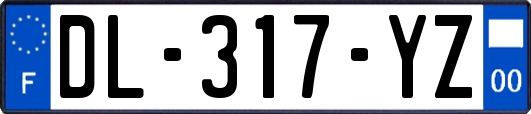 DL-317-YZ