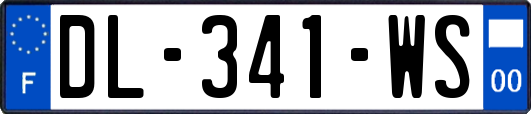 DL-341-WS