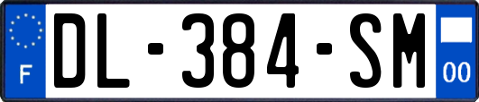 DL-384-SM