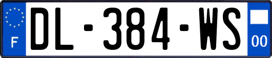 DL-384-WS