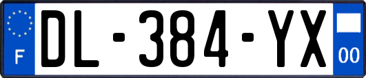 DL-384-YX