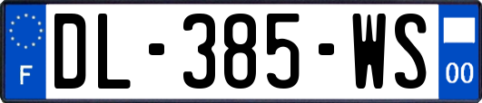 DL-385-WS