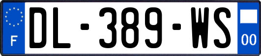 DL-389-WS