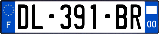 DL-391-BR