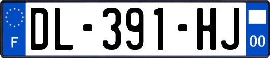 DL-391-HJ
