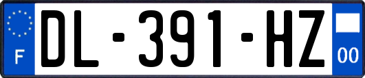 DL-391-HZ