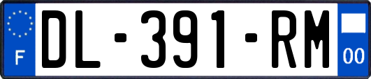 DL-391-RM