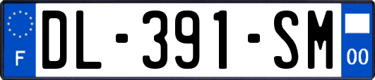 DL-391-SM