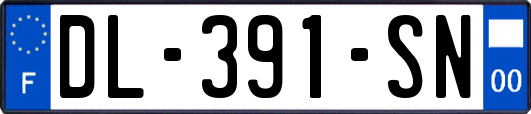 DL-391-SN