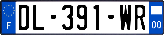 DL-391-WR