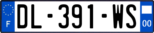 DL-391-WS