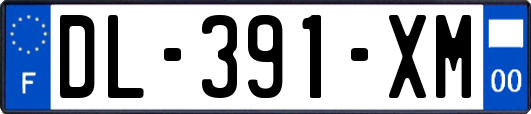 DL-391-XM
