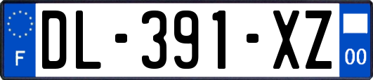 DL-391-XZ