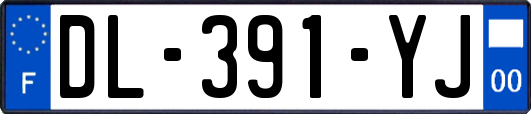 DL-391-YJ