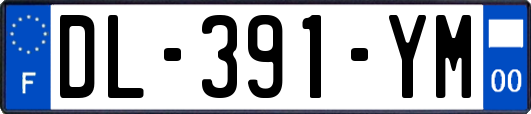 DL-391-YM