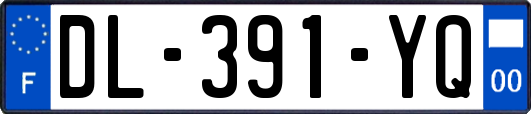 DL-391-YQ