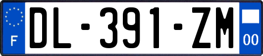 DL-391-ZM