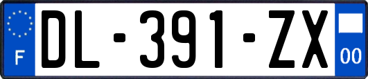 DL-391-ZX