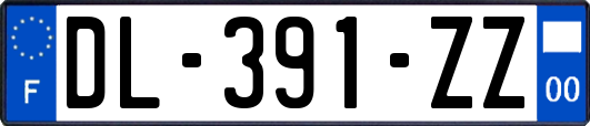 DL-391-ZZ