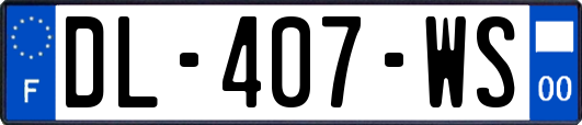 DL-407-WS