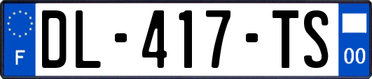DL-417-TS