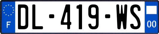 DL-419-WS