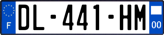 DL-441-HM