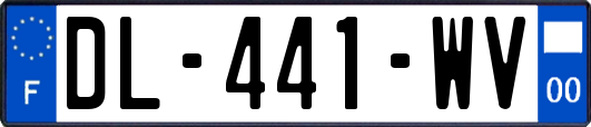 DL-441-WV