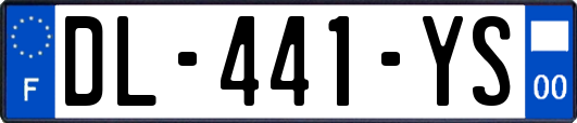 DL-441-YS