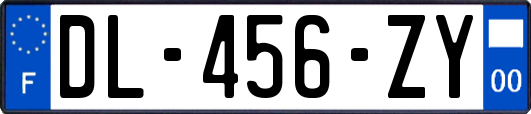 DL-456-ZY