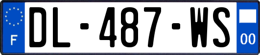 DL-487-WS