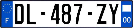 DL-487-ZY