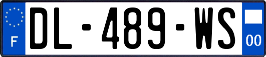 DL-489-WS