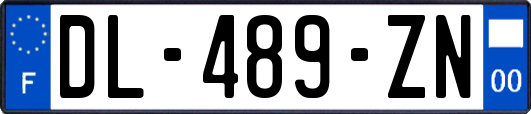 DL-489-ZN