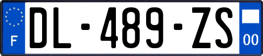 DL-489-ZS