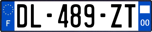 DL-489-ZT