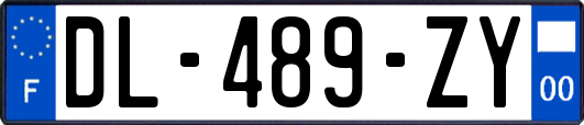 DL-489-ZY