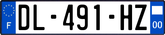 DL-491-HZ