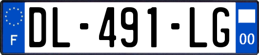 DL-491-LG