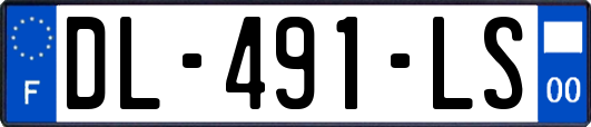 DL-491-LS