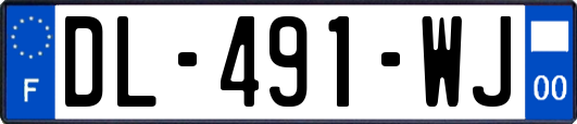 DL-491-WJ