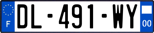 DL-491-WY