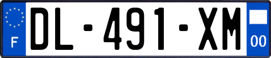 DL-491-XM