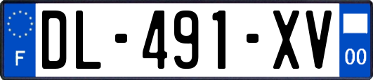 DL-491-XV