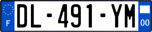 DL-491-YM